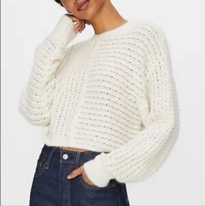 New Wilfred Free Fortune Sweater